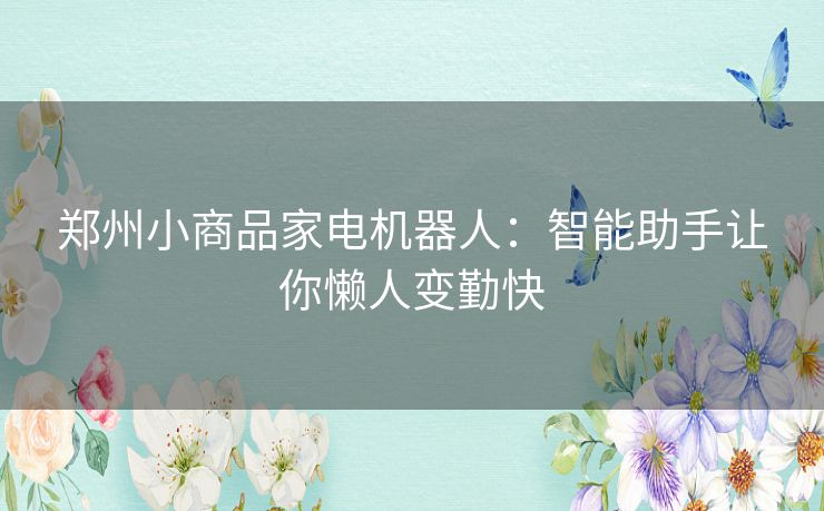 郑州小商品家电机器人：智能助手让你懒人变勤快
