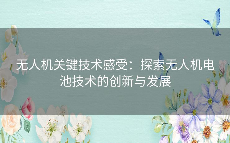 无人机关键技术感受：探索无人机电池技术的创新与发展