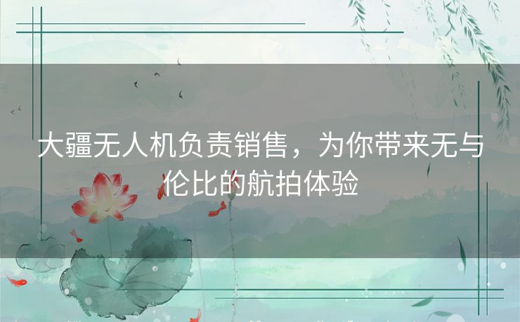 大疆无人机负责销售，为你带来无与伦比的航拍体验