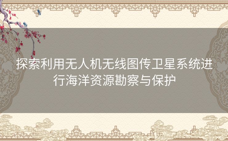 探索利用无人机无线图传卫星系统进行海洋资源勘察与保护