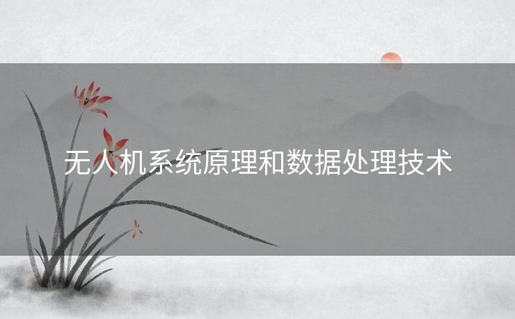 无人机系统原理和数据处理技术
