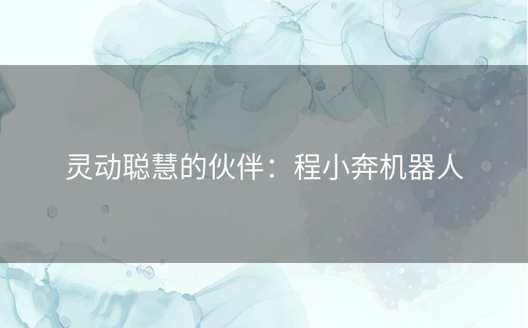 灵动聪慧的伙伴：程小奔机器人