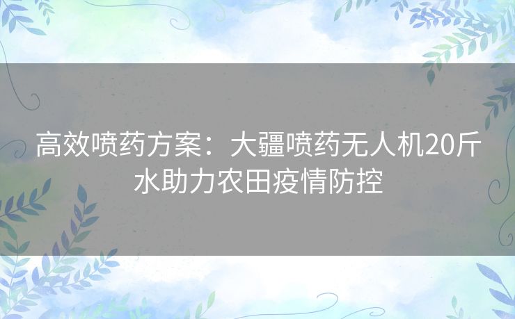 高效喷药方案：大疆喷药无人机20斤水助力农田疫情防控