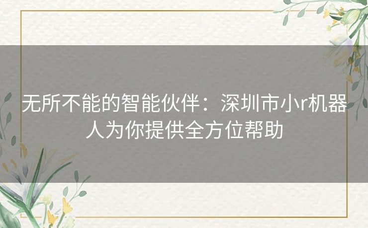 无所不能的智能伙伴：深圳市小r机器人为你提供全方位帮助