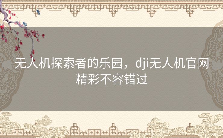 无人机探索者的乐园，dji无人机官网精彩不容错过