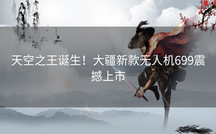 天空之王诞生！大疆新款无人机699震撼上市
