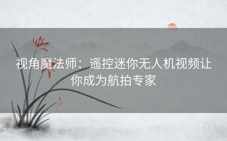 视角魔法师：遥控迷你无人机视频让你成为航拍专家