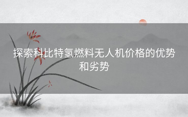 探索科比特氢燃料无人机价格的优势和劣势