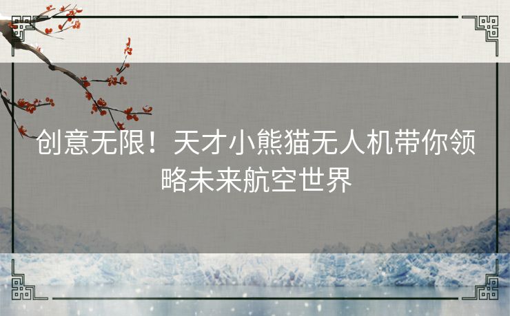 创意无限！天才小熊猫无人机带你领略未来航空世界