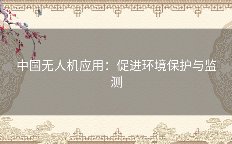 中国无人机应用：促进环境保护与监测