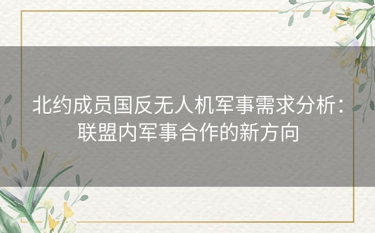 北约成员国反无人机军事需求分析：联盟内军事合作的新方向