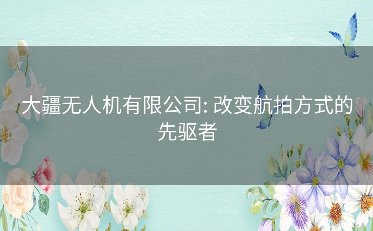大疆无人机有限公司: 改变航拍方式的先驱者
