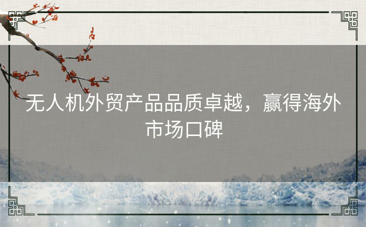 无人机外贸产品品质卓越，赢得海外市场口碑