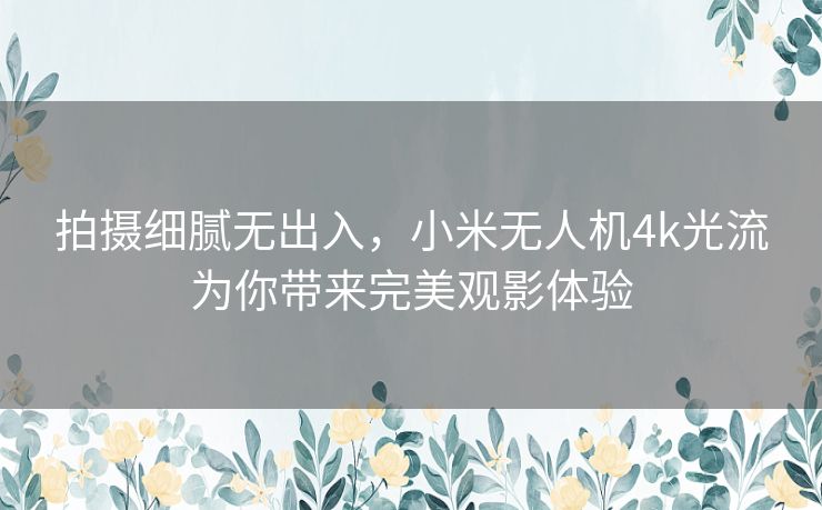 拍摄细腻无出入，小米无人机4k光流为你带来完美观影体验