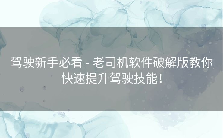 驾驶新手必看 - 老司机软件破解版教你快速提升驾驶技能！