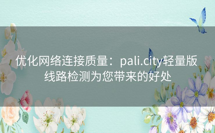 优化网络连接质量：pali.city轻量版 线路检测为您带来的好处