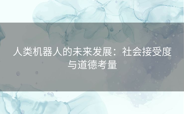 人类机器人的未来发展：社会接受度与道德考量