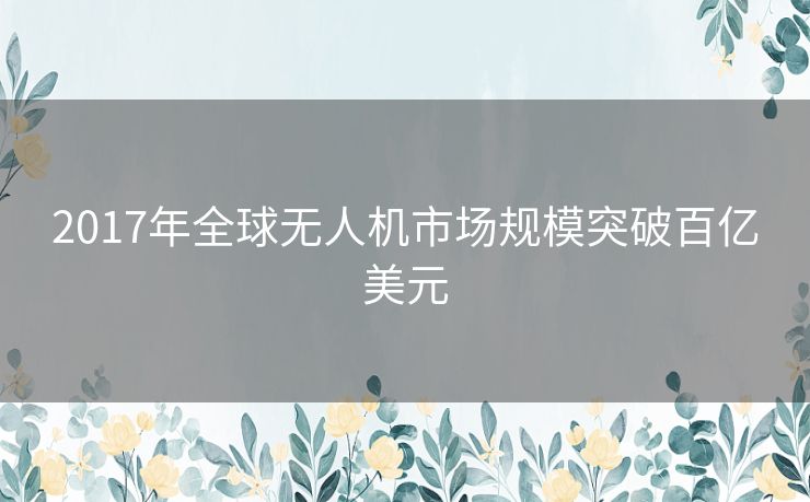 2017年全球无人机市场规模突破百亿美元