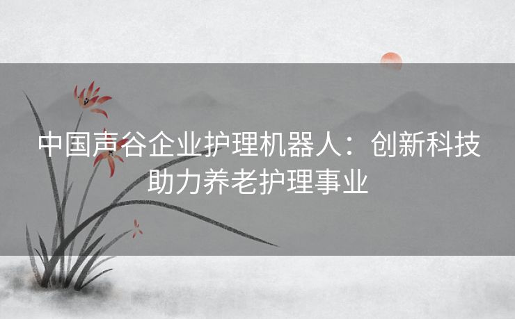 中国声谷企业护理机器人：创新科技助力养老护理事业