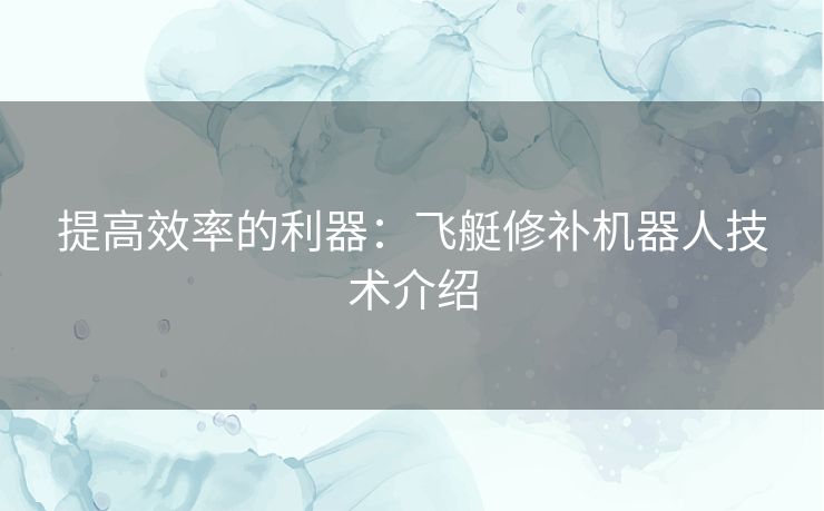 提高效率的利器：飞艇修补机器人技术介绍