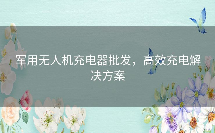 军用无人机充电器批发，高效充电解决方案