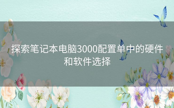 探索笔记本电脑3000配置单中的硬件和软件选择