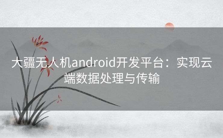 大疆无人机android开发平台：实现云端数据处理与传输