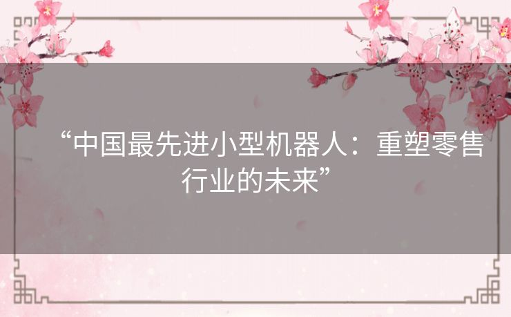 “中国最先进小型机器人：重塑零售行业的未来”