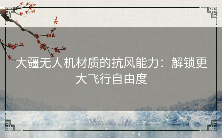 大疆无人机材质的抗风能力：解锁更大飞行自由度