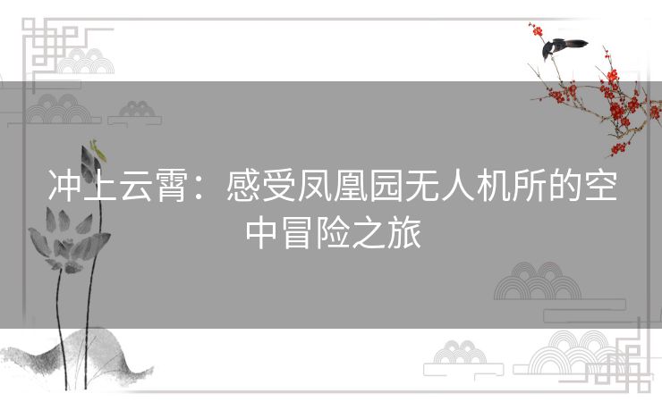 冲上云霄：感受凤凰园无人机所的空中冒险之旅