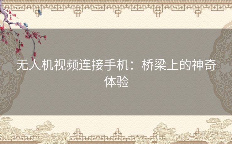 无人机视频连接手机：桥梁上的神奇体验