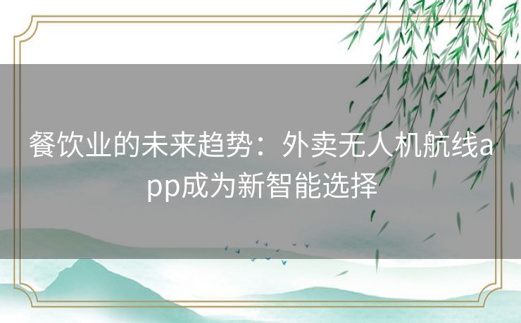 餐饮业的未来趋势：外卖无人机航线app成为新智能选择