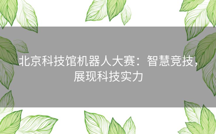 北京科技馆机器人大赛：智慧竞技，展现科技实力