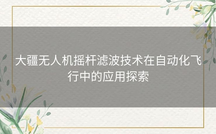 大疆无人机摇杆滤波技术在自动化飞行中的应用探索
