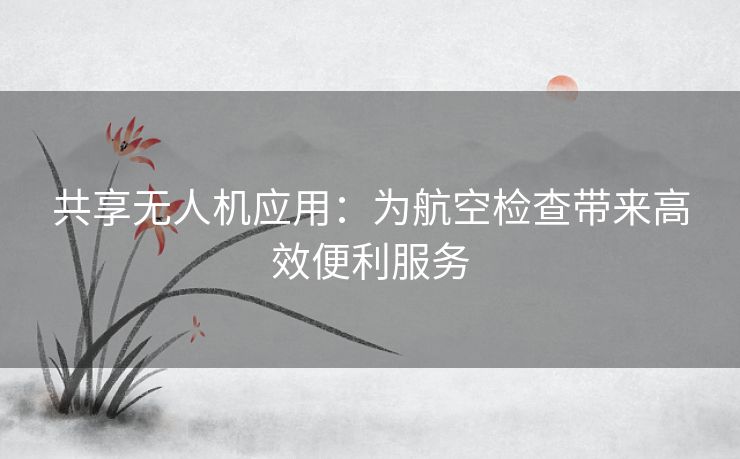 共享无人机应用：为航空检查带来高效便利服务