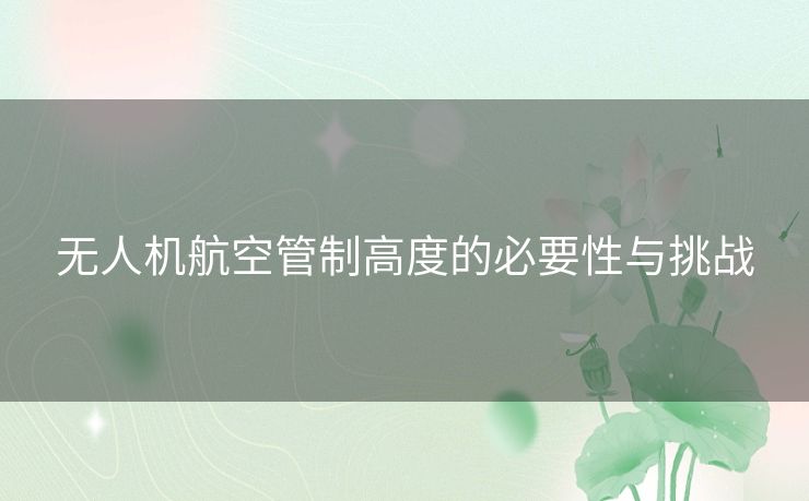 无人机航空管制高度的必要性与挑战