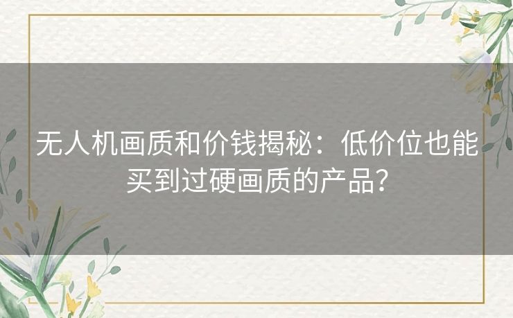 无人机画质和价钱揭秘：低价位也能买到过硬画质的产品？