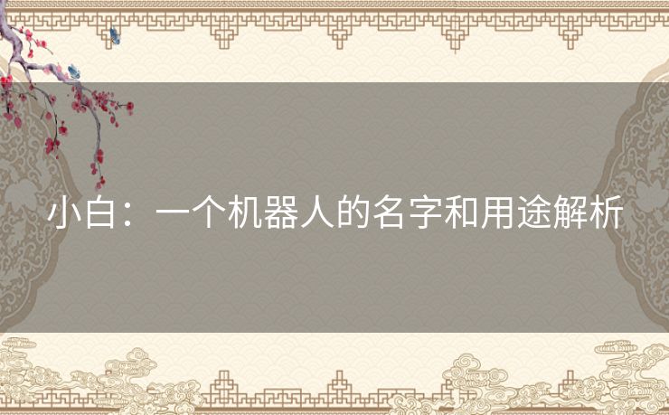 小白：一个机器人的名字和用途解析