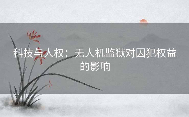 科技与人权：无人机监狱对囚犯权益的影响