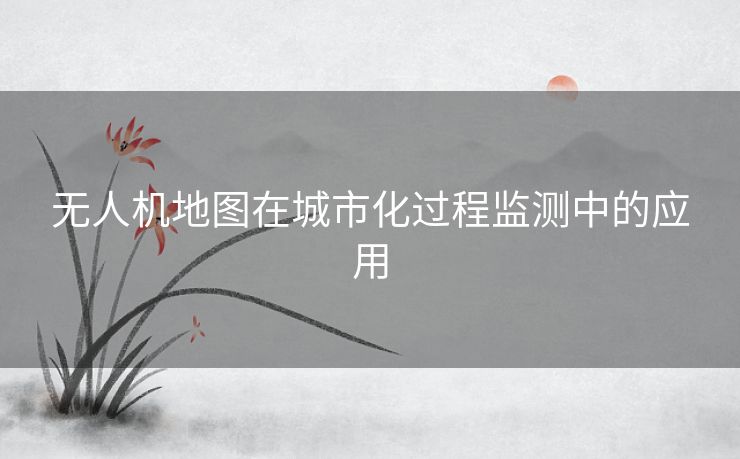 无人机地图在城市化过程监测中的应用