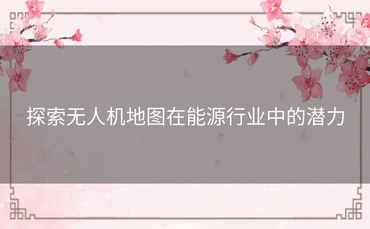 探索无人机地图在能源行业中的潜力