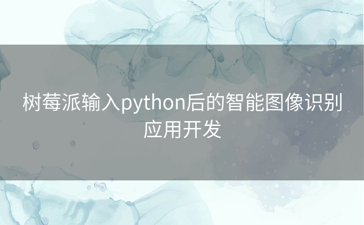 树莓派输入python后的智能图像识别应用开发