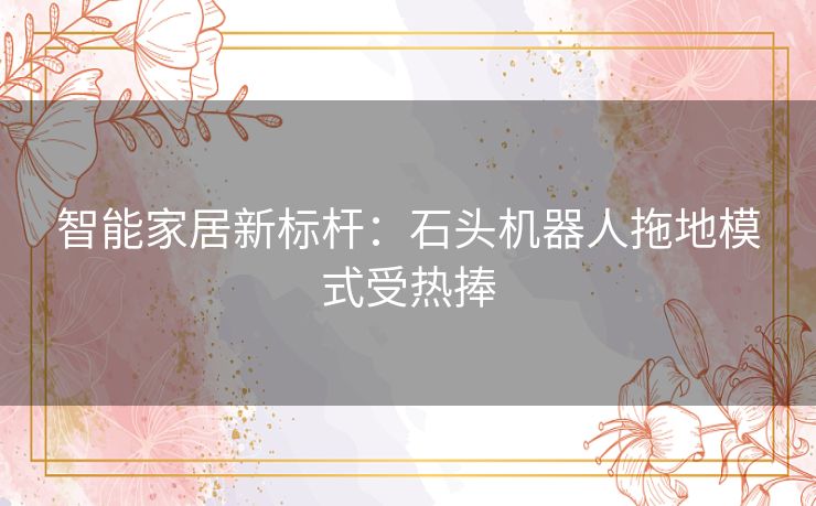 智能家居新标杆：石头机器人拖地模式受热捧