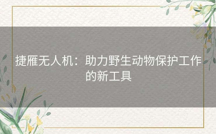 捷雁无人机：助力野生动物保护工作的新工具