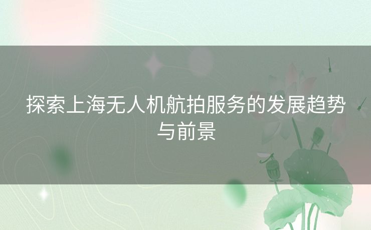 探索上海无人机航拍服务的发展趋势与前景