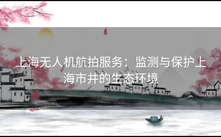 上海无人机航拍服务：监测与保护上海市井的生态环境