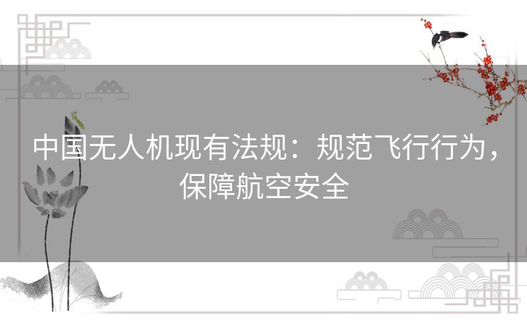 中国无人机现有法规：规范飞行行为，保障航空安全