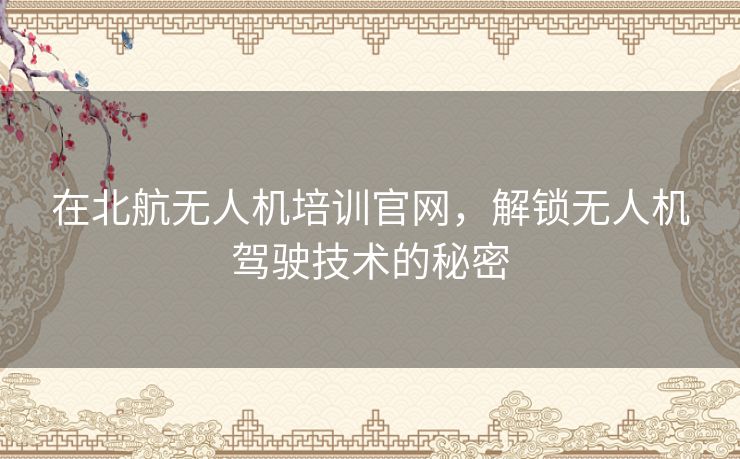 在北航无人机培训官网，解锁无人机驾驶技术的秘密