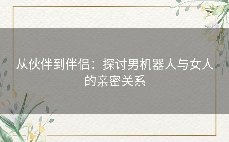 从伙伴到伴侣：探讨男机器人与女人的亲密关系