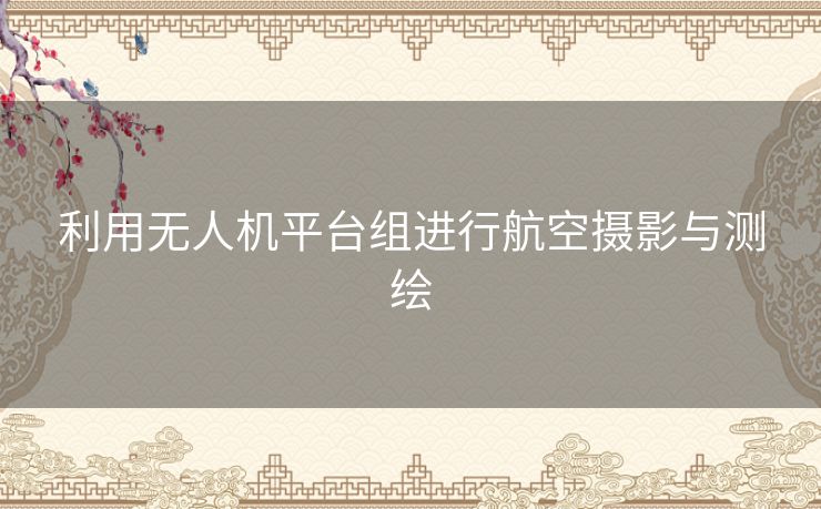 利用无人机平台组进行航空摄影与测绘